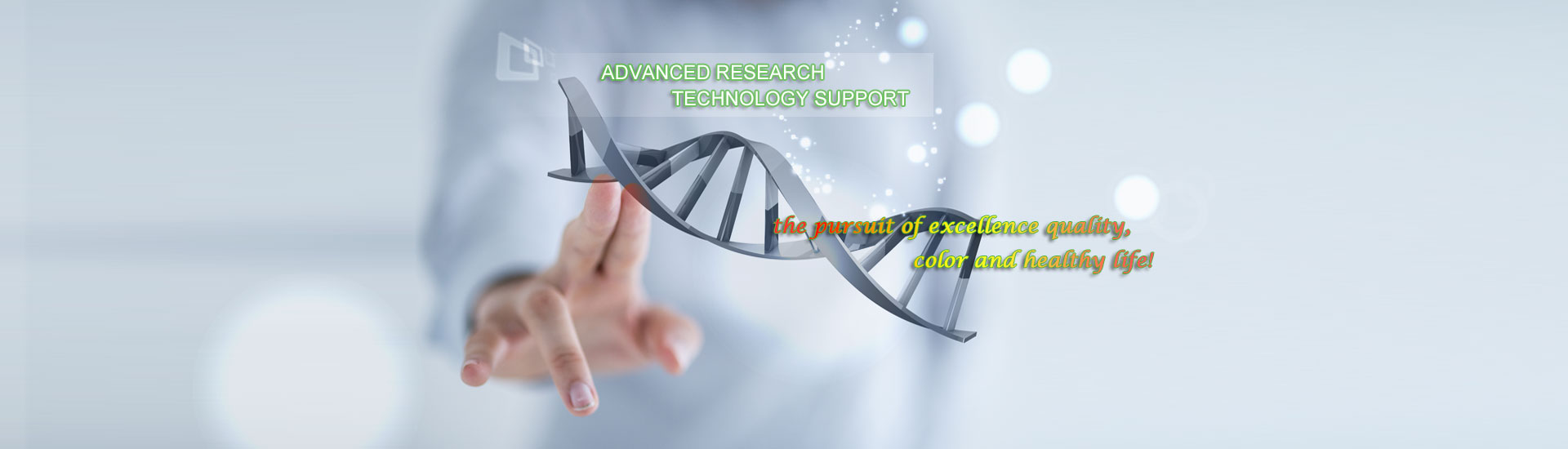 ��˿��� ��������